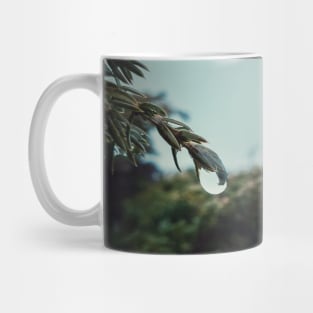 raindrops on coniferous bush Mug